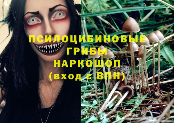 соль курить ск Алексин