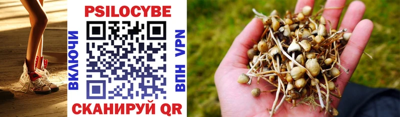 hydra зеркало  площадка состав  Арзамас  Галлюциногенные грибы MAGIC MUSHROOMS  цены  